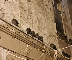 Zdjęcie: KarkonoszeGO wiadomości Atrakcje Karkonoszy