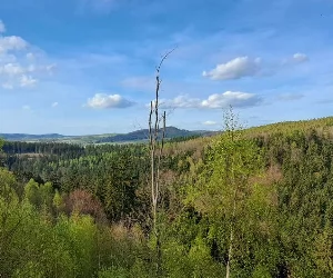 Zdjęcie: KarkonoszeGO wiadomości Atrakcje Karkonoszy