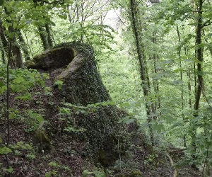 Zdjęcie: KarkonoszeGO wiadomości Atrakcje Karkonoszy