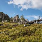 Zdjęcie: KarkonoszeGO wiadomości Atrakcje Karkonoszy