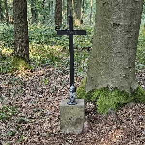 Zdjęcie: KarkonoszeGO wiadomości Atrakcje Karkonoszy