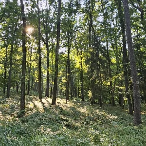 Zdjęcie: KarkonoszeGO wiadomości Atrakcje Karkonoszy