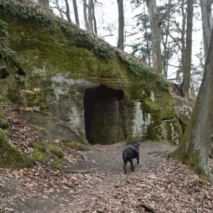 Zdjęcie: KarkonoszeGO wiadomości Atrakcje Karkonoszy