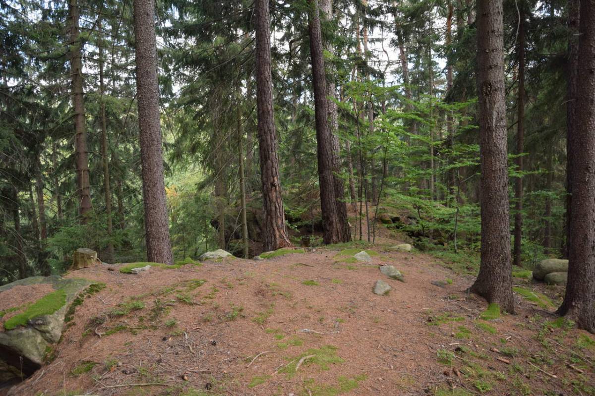 Zdjęcie: KarkonoszeGO wiadomości Atrakcje Karkonoszy