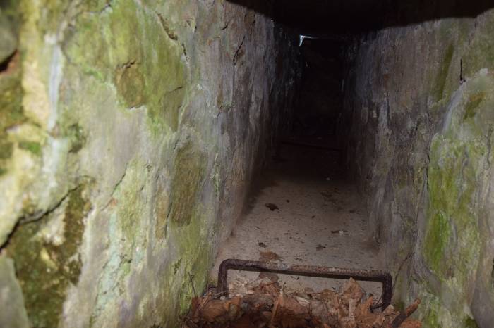 Zdjęcie: KarkonoszeGO wiadomości Atrakcje Karkonoszy