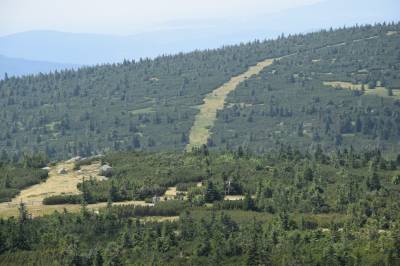 Zdjęcie: szlaki turystyczne karkonosze wycieczki wolny