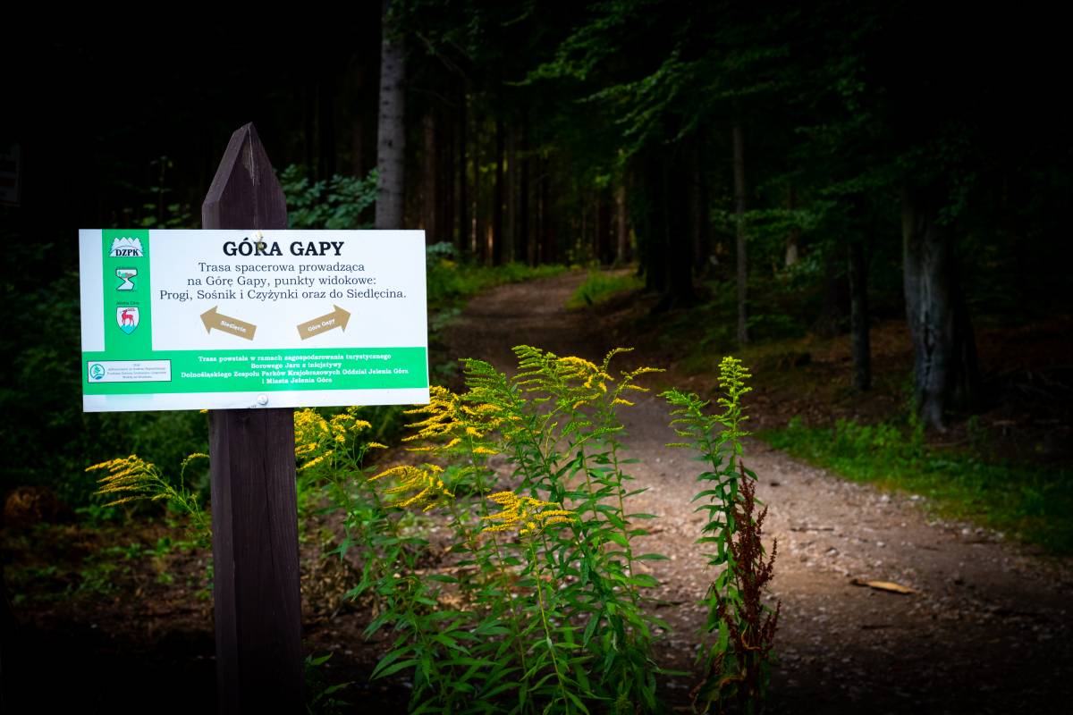 Zdjęcie: KarkonoszeGO wiadomości Atrakcje Karkonoszy