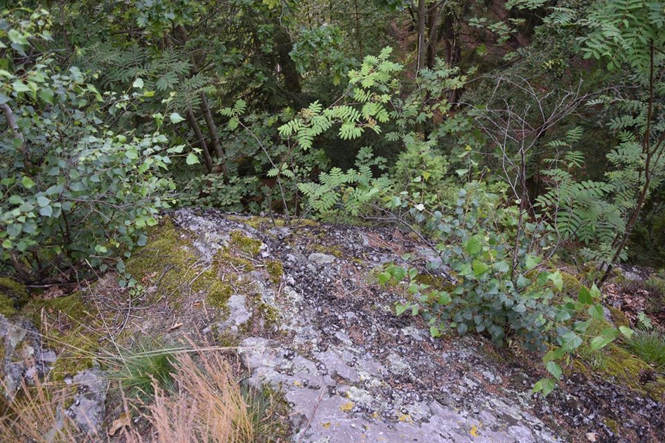 Zdjęcie: KarkonoszeGO wiadomości Atrakcje Karkonoszy