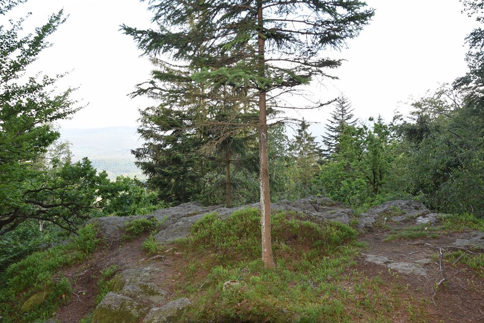 Zdjęcie: KarkonoszeGO wiadomości Atrakcje Karkonoszy