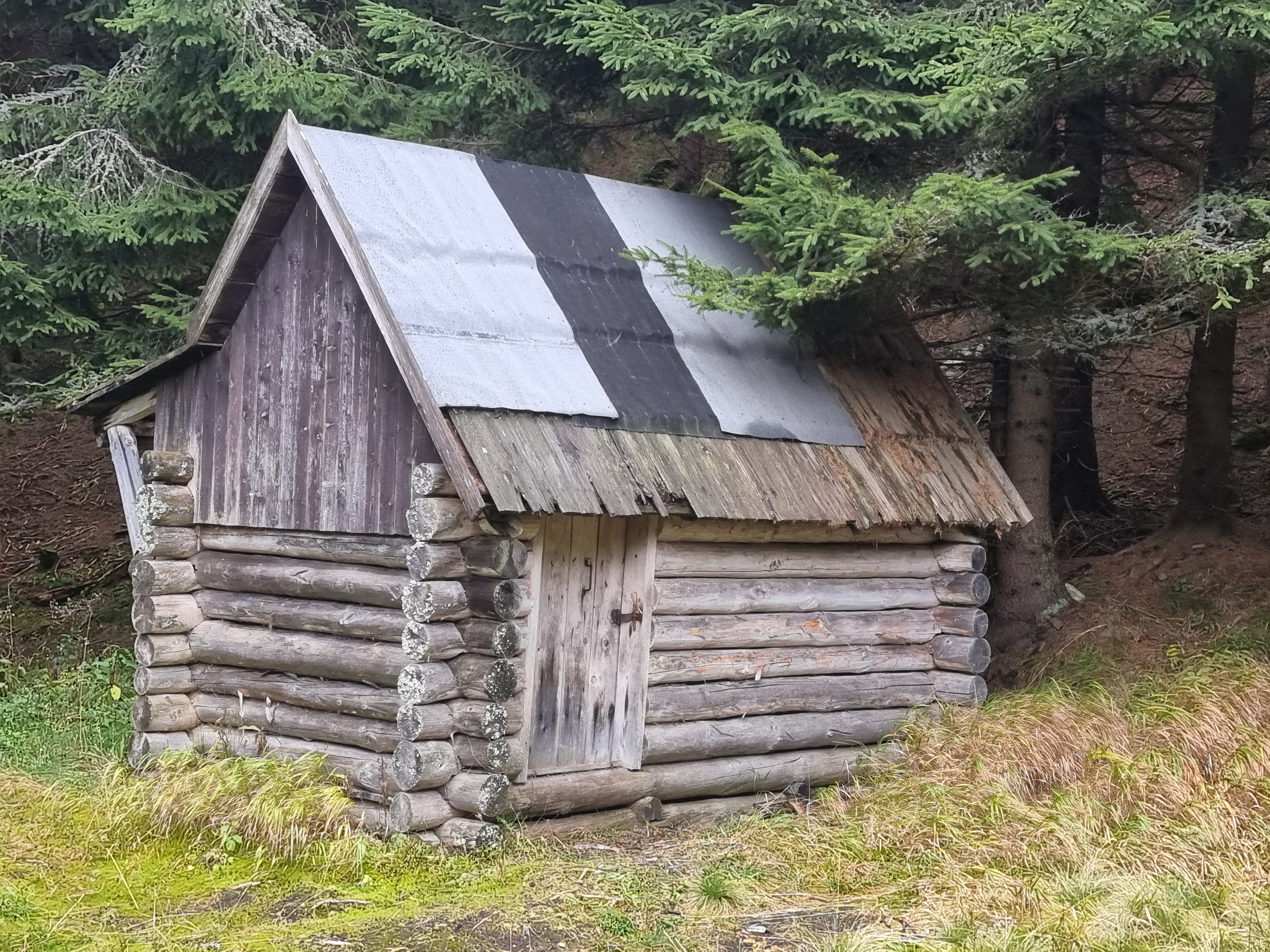 Zdjęcie: KarkonoszeGO wiadomości Atrakcje Karkonoszy