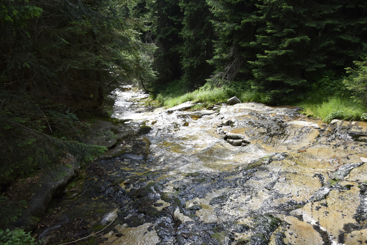 Zdjęcie: KarkonoszeGO wiadomości Atrakcje Karkonoszy