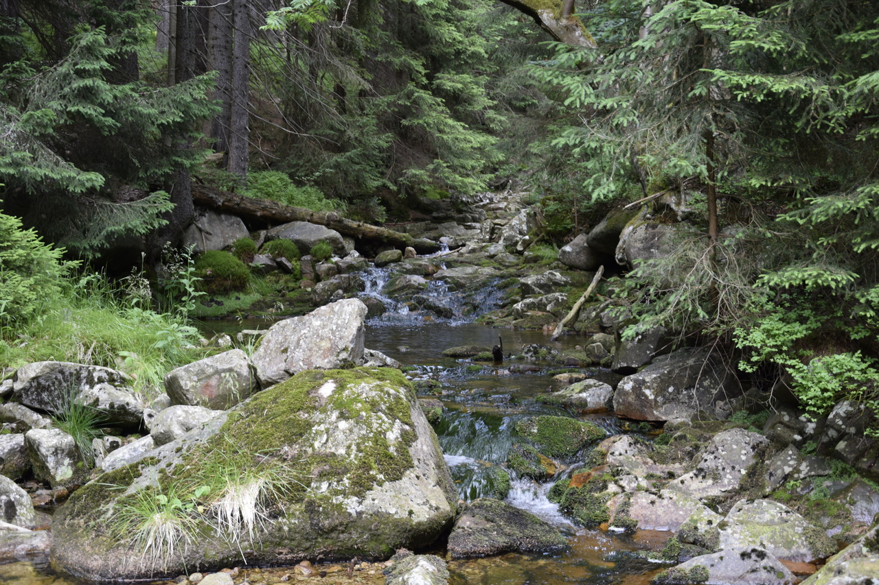 Zdjęcie: KarkonoszeGO wiadomości Atrakcje Karkonoszy