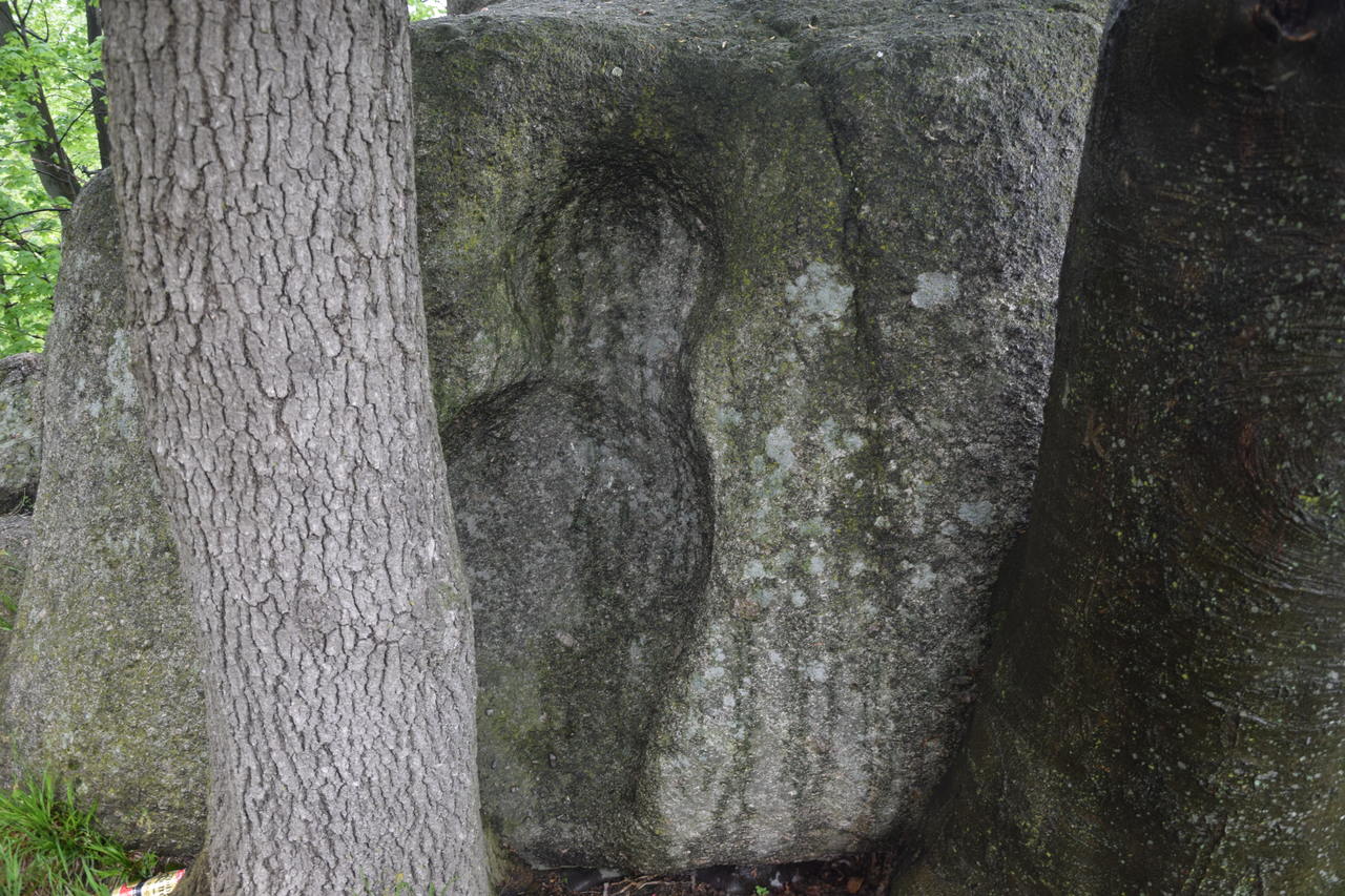 Zdjęcie: KarkonoszeGO wiadomości Atrakcje Karkonoszy