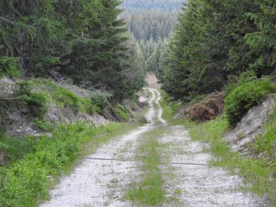 Zdjęcie: ważne komunikaty turystów Informacje Turystów