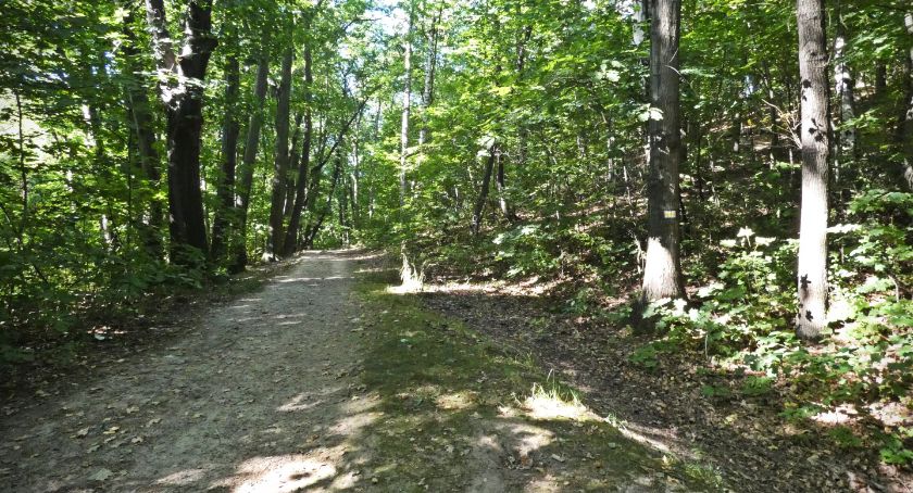 Zdjęcie: KarkonoszeGO wiadomości Atrakcje Karkonoszy