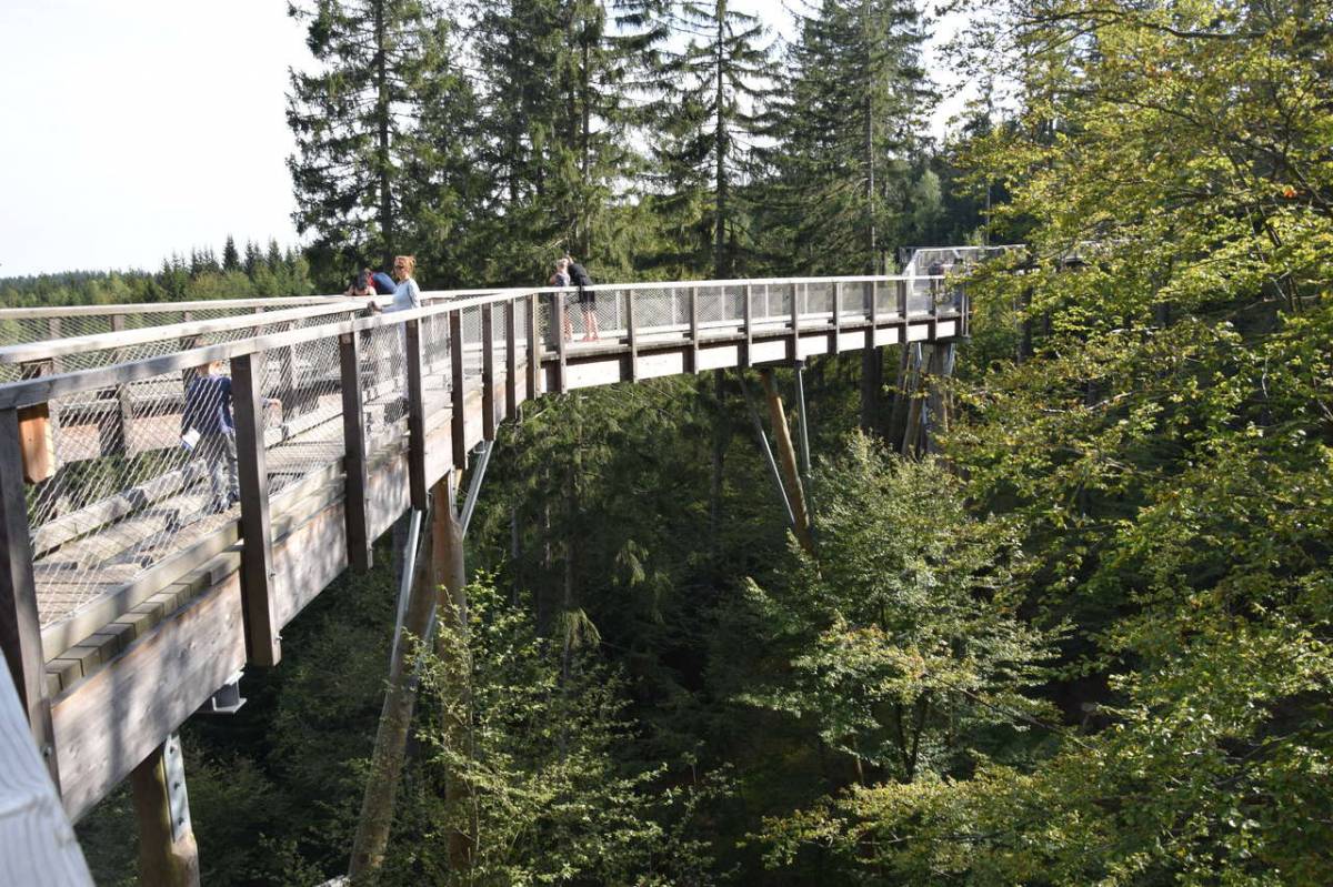 Zdjęcie: KarkonoszeGO wiadomości Atrakcje Karkonoszy
