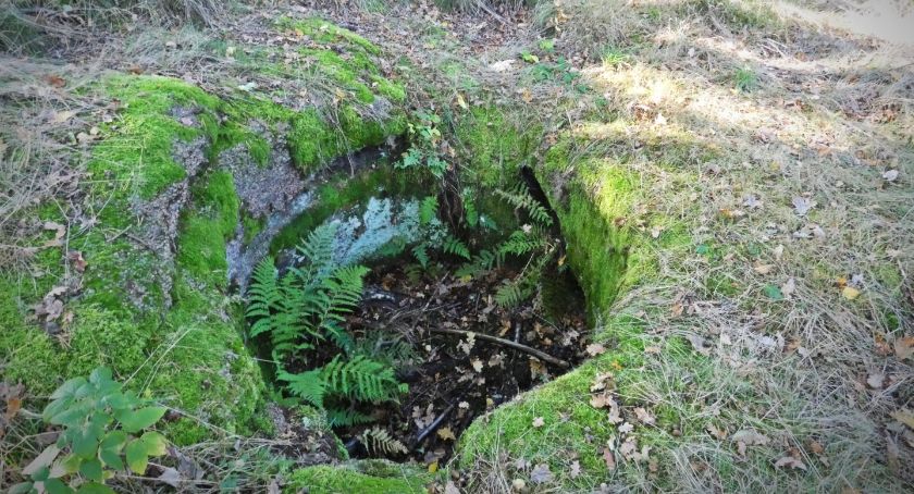 Zdjęcie: KarkonoszeGO wiadomości Atrakcje Karkonoszy