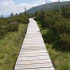 Zdjęcie: KarkonoszeGO wiadomości Atrakcje Karkonoszy