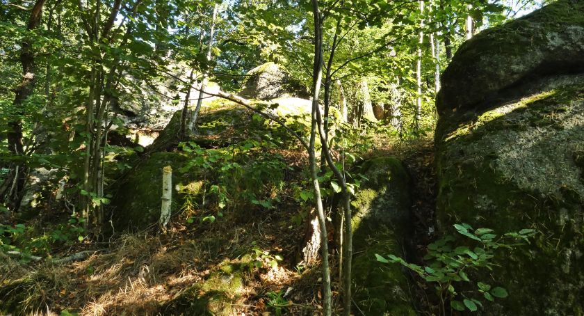 Zdjęcie: KarkonoszeGO wiadomości Atrakcje Karkonoszy