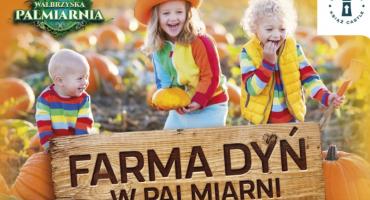 Farma dyń na Zamku Książ