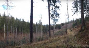 Zimna Dolina – klimatyczne miejsce nieopodal Sosnówki