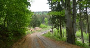 Pogańska Dolina – dawne miejsce kultu