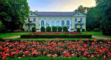 Ukwiecony Park Zdrojowy w Jeleniej Górze Cieplicach