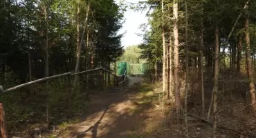 Trafalgar - Punkt widokowy nad Borowym Jarem