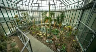 Ogród Botaniczny Liberec