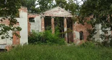 Piękne kolumny w chaszczach. Ruiny pałacu w Ozorowicach
