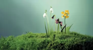 Wielkanoc w Dolinie Kryształowej 2026