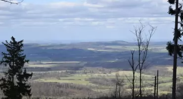 Nowe rezerwaty przyrody w Krainie Wygasłych Wulkanów. Ochroną objętych zostanie blisko 700 hektarów